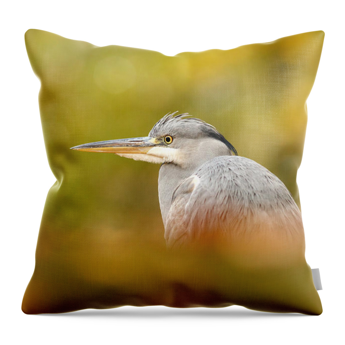 Bird Throw Pillow featuring the photograph Hidden Heron by Roeselien Raimond