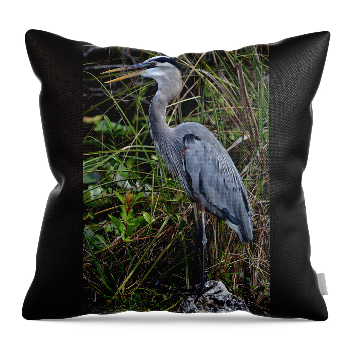 Bird Throw Pillow featuring the photograph Hidden in the Reeds by Richard Ortolano