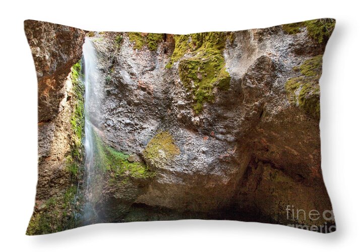 Hidden Jewel Throw Pillow featuring the photograph Hidden Jewel by David Millenheft