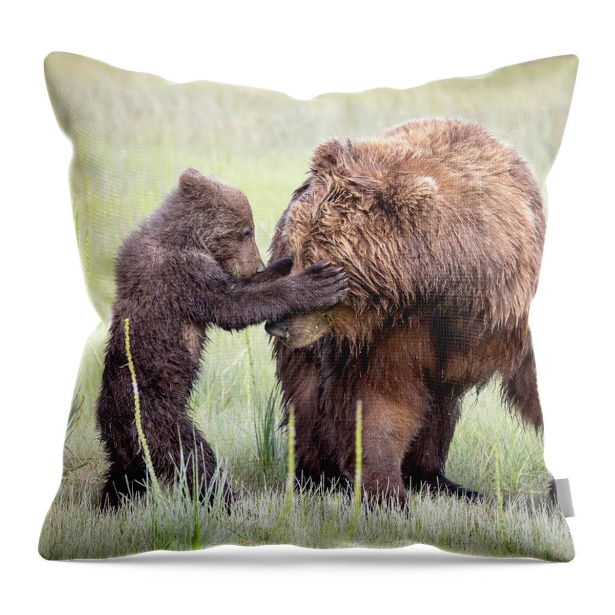 Bear Throw Pillow featuring the photograph Hide and Seek by Jack Bell