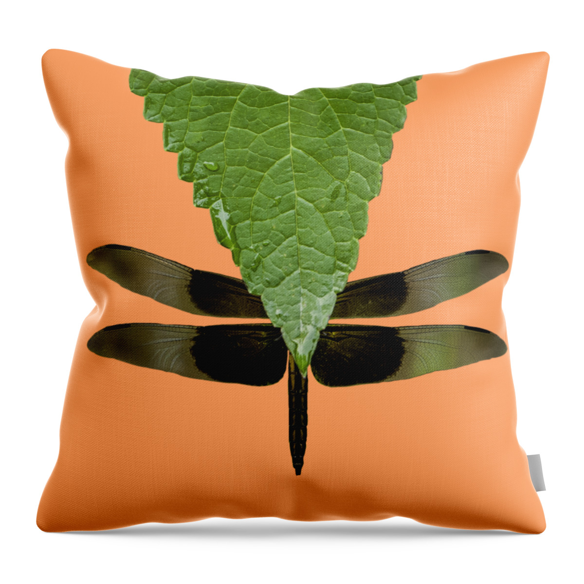 Johnson County Throw Pillow featuring the photograph Hiding Dragons by Jeff Phillippi