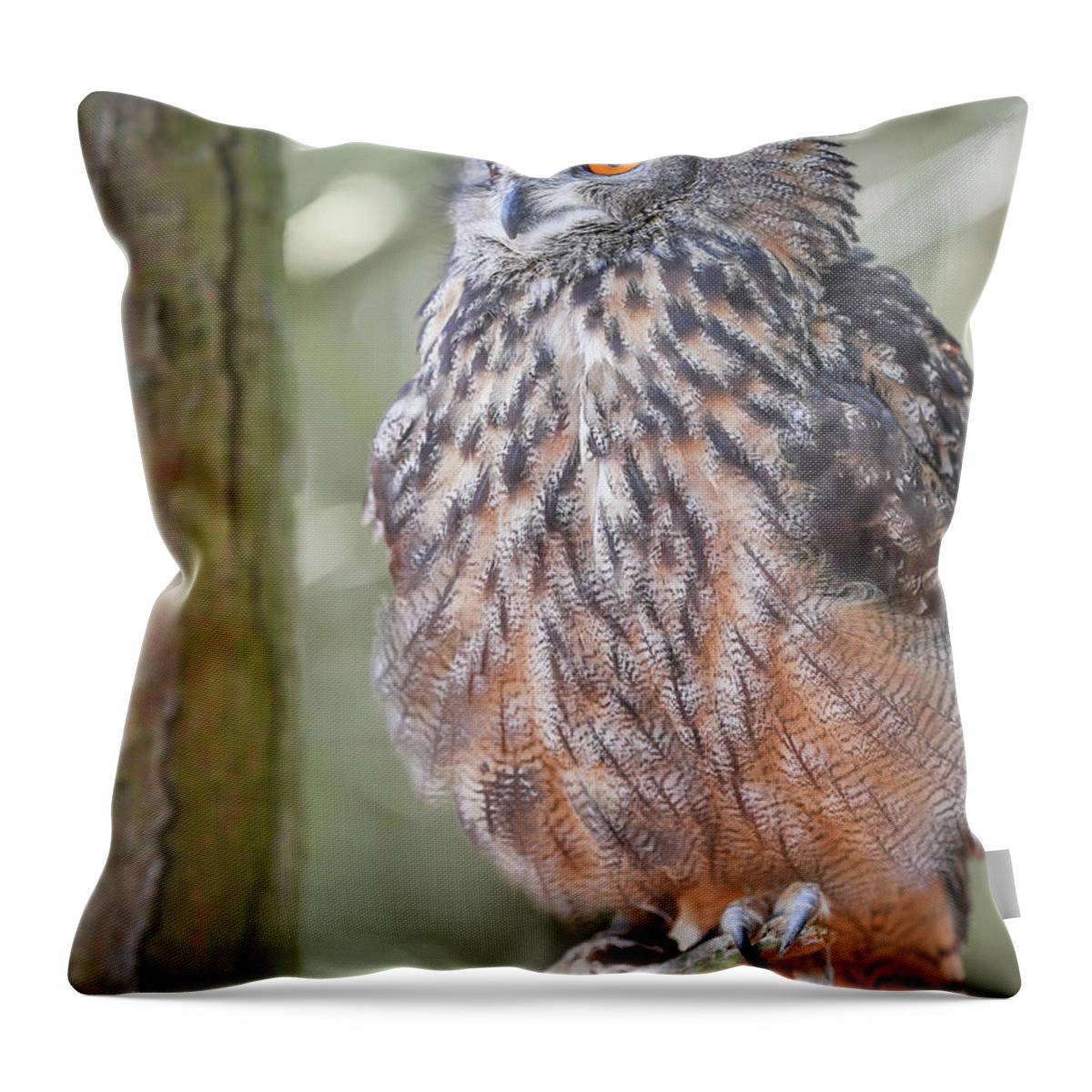 Ontario Throw Pillow featuring the photograph Hiding in the trees by Ian Sempowski
