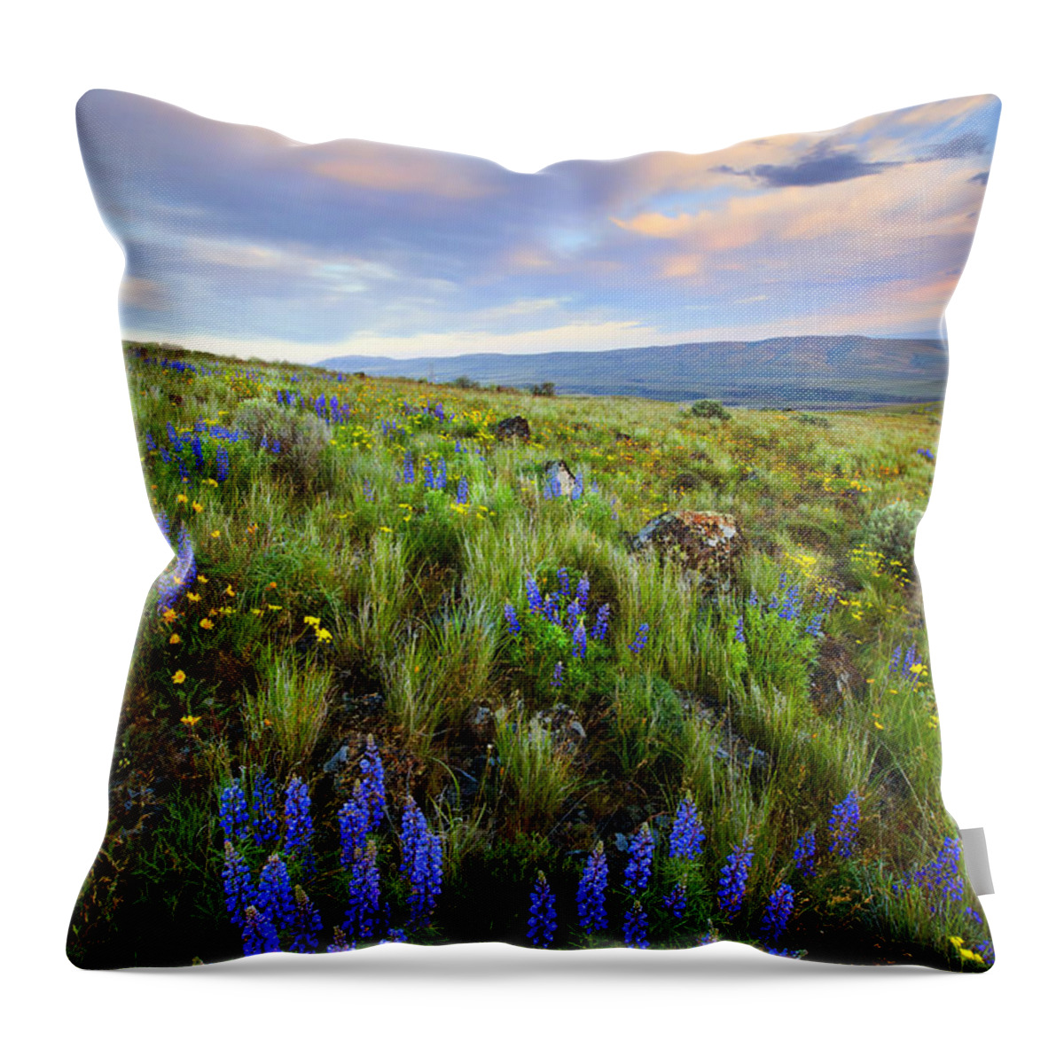 Wildflowers Throw Pillow featuring the photograph High Desert Spring by Michael Dawson