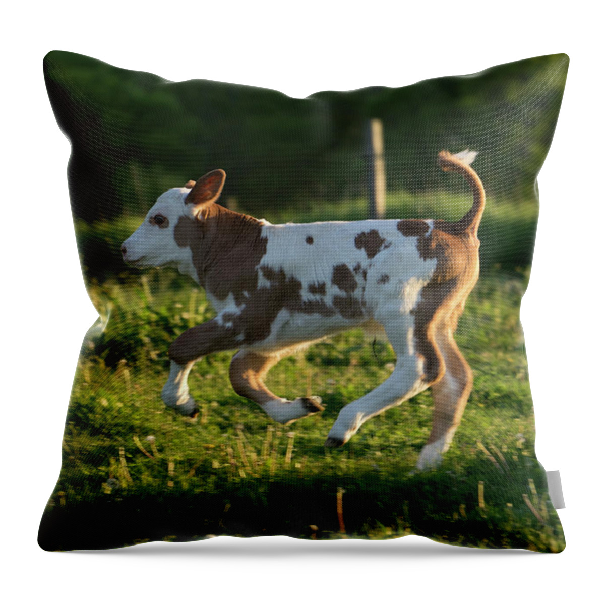 High-tailing It Back Throw Pillow featuring the photograph High-Tailing it Back by Brooke Bowdren