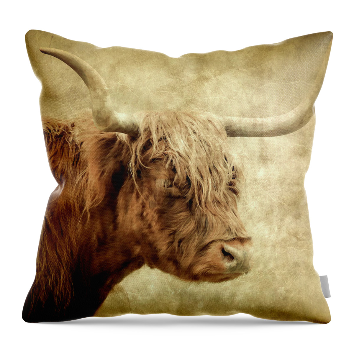 Highland Cow Throw Pillow featuring the photograph Highland Cow Paint by Athena Mckinzie