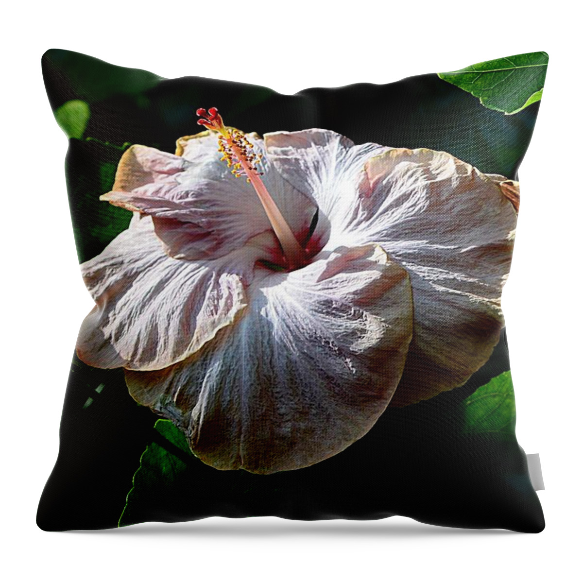 Flowers Throw Pillow featuring the photograph Highlighted Hibiscus by Cindy Manero