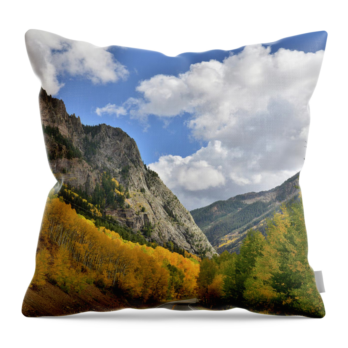 Colorado Throw Pillow featuring the photograph Highway 145 Colorado by Ray Mathis