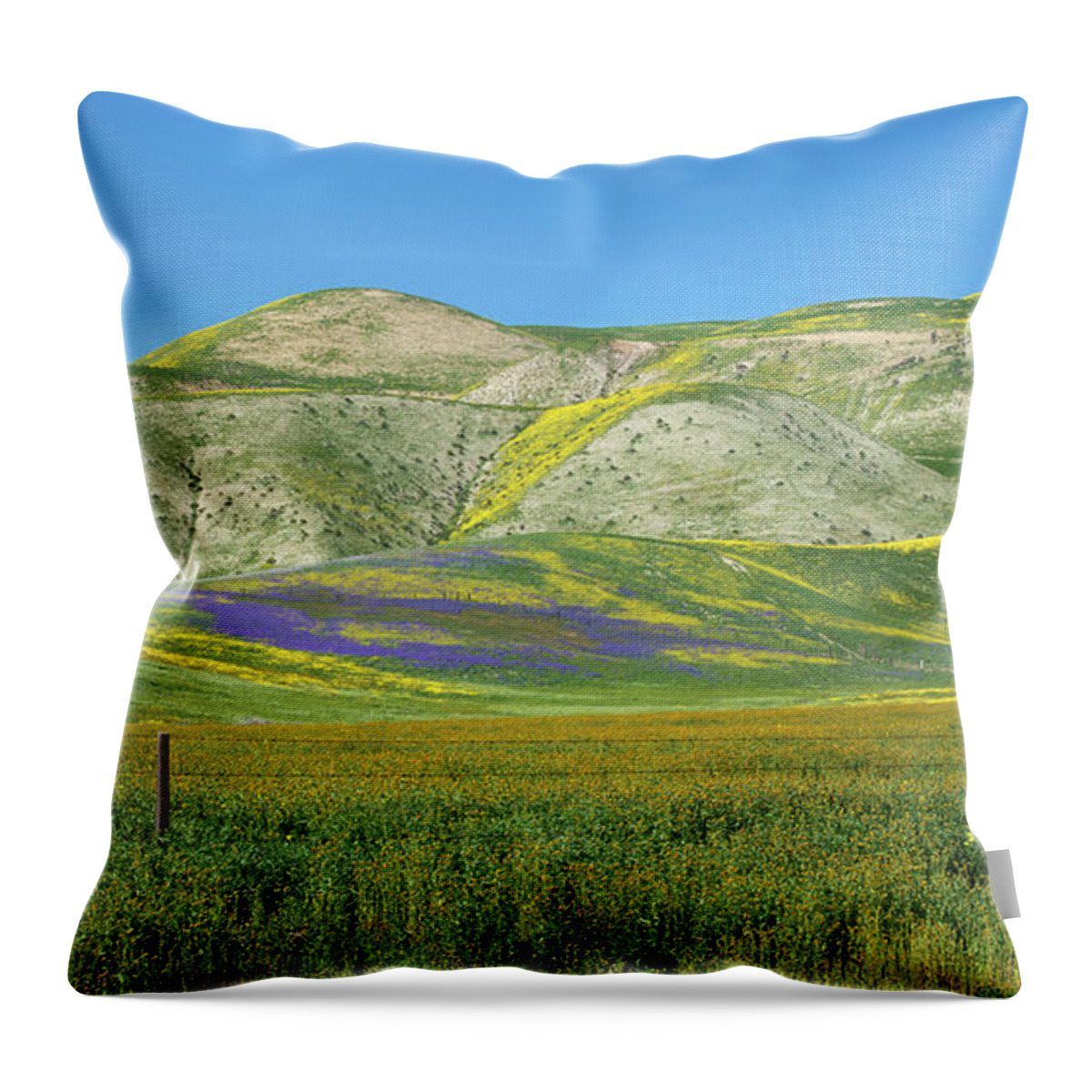 Wildflowers Throw Pillow featuring the photograph Highway 58 Superbloom Panorama by Lynn Bauer