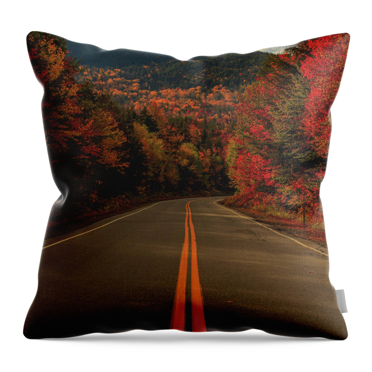 Highway Throw Pillow featuring the photograph Highway by Rob Davies