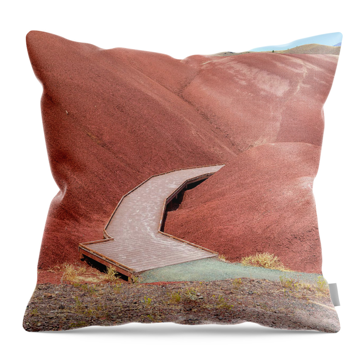 Painted Hills Throw Pillow featuring the photograph Hiking Loop Boardwalk at Painted Hills Cove by David Gn