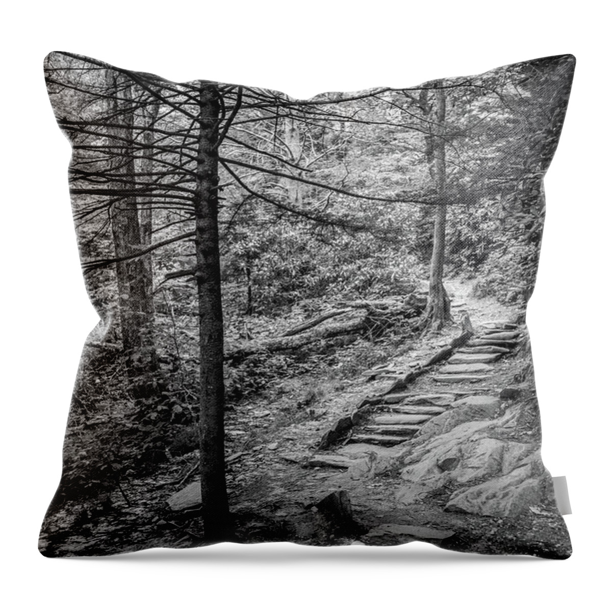 Hiking Throw Pillow featuring the photograph Hiking Trail by David Hart