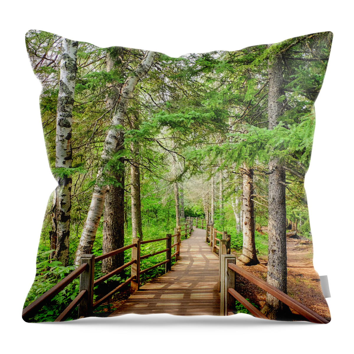 Destination Throw Pillow featuring the photograph Hiking Trail by Iryna Liveoak