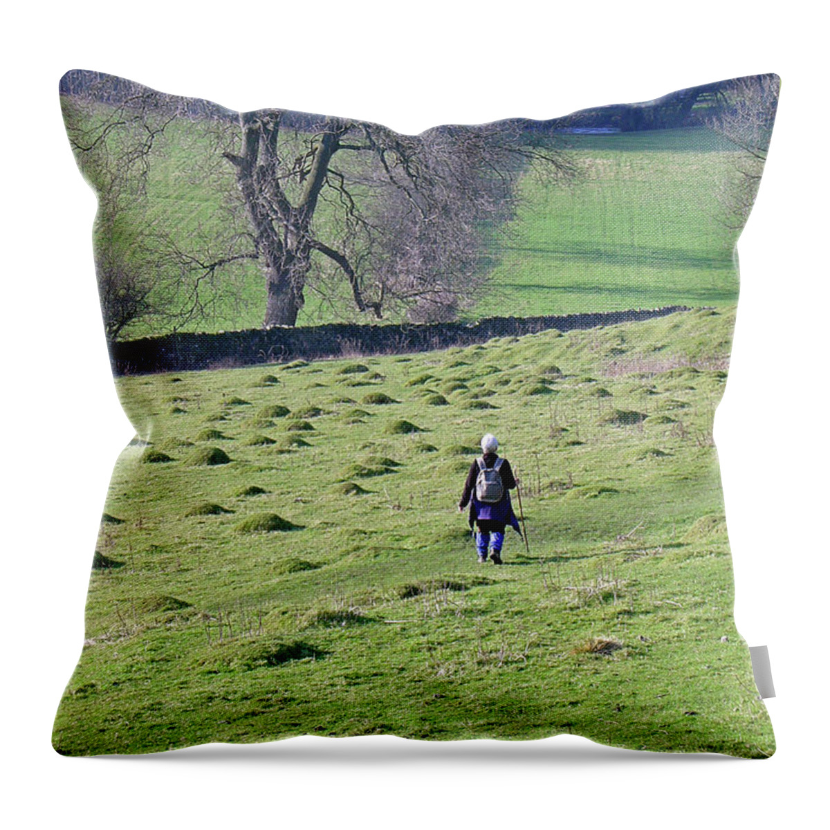 Britain Throw Pillow featuring the photograph Hill Walking by Rod Johnson