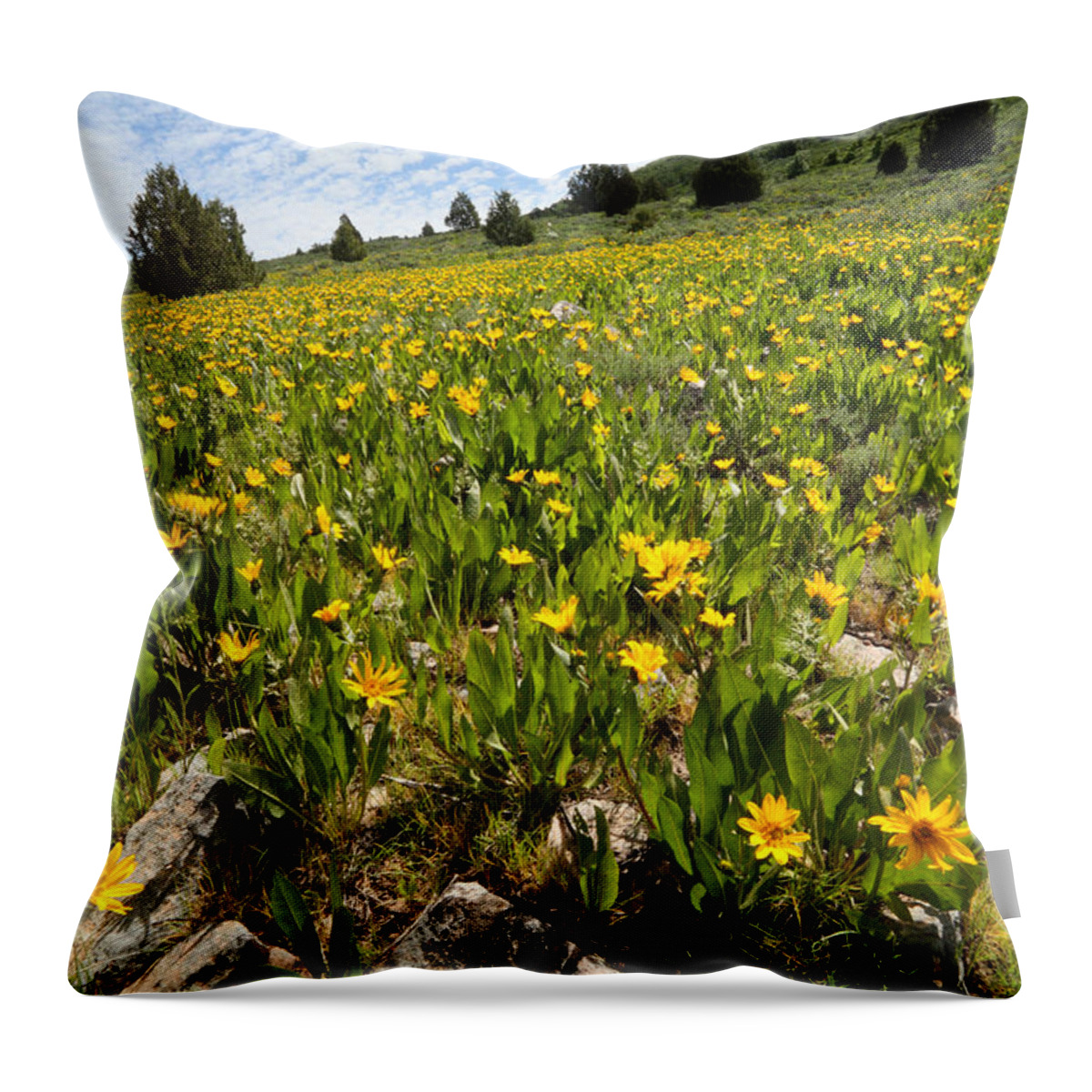 Flower Throw Pillow featuring the photograph Hills of Yellow Flowers by Brett Pelletier