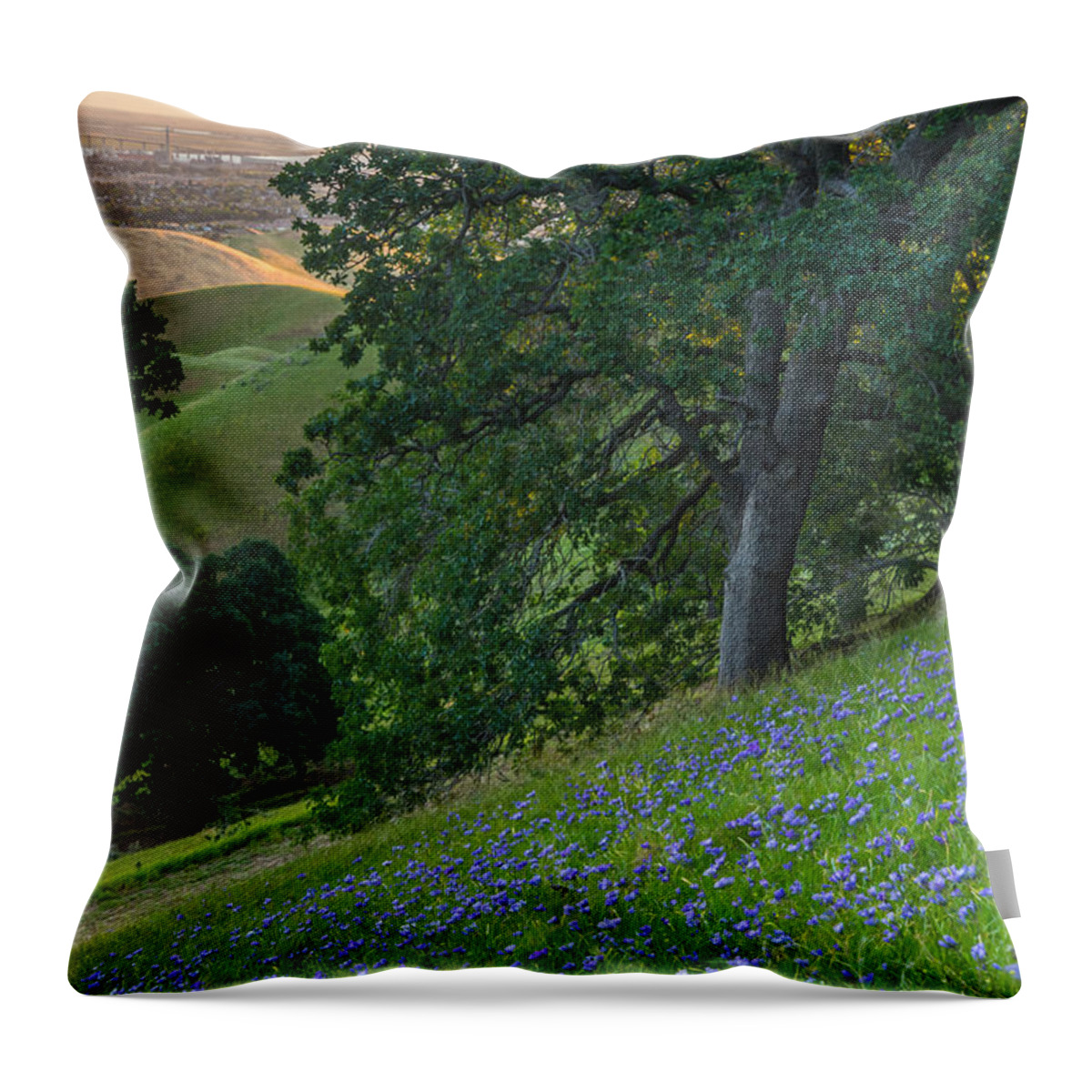 Landscape Throw Pillow featuring the photograph Hillside Flowers at Sunrise by Marc Crumpler