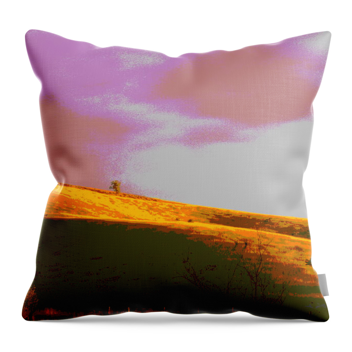 Landscape Throw Pillow featuring the photograph Hillside by Jean Evans