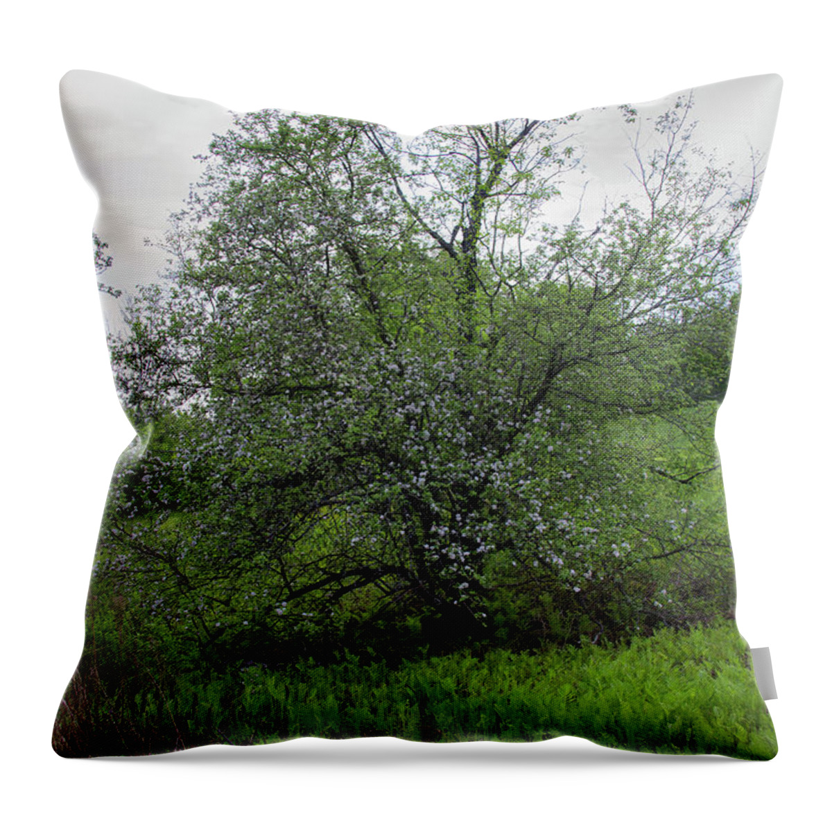 Nature Throw Pillow featuring the photograph Hillside Lady by Michael Friedman