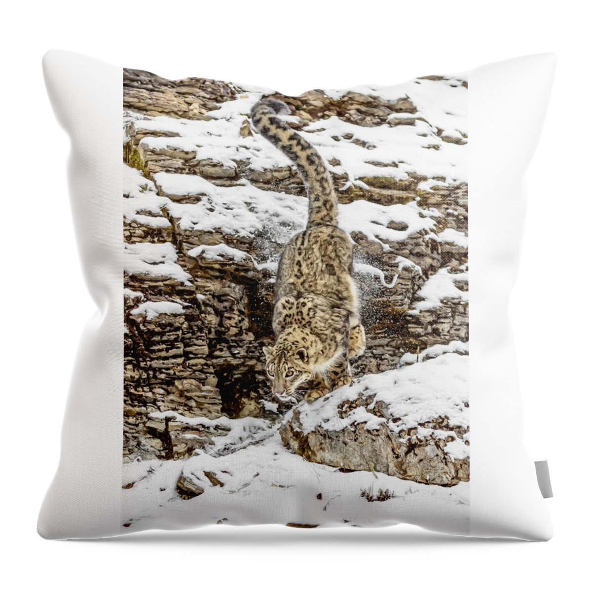 Himalayan Hunter Throw Pillow featuring the photograph Himalayan Hunter by Wes and Dotty Weber
