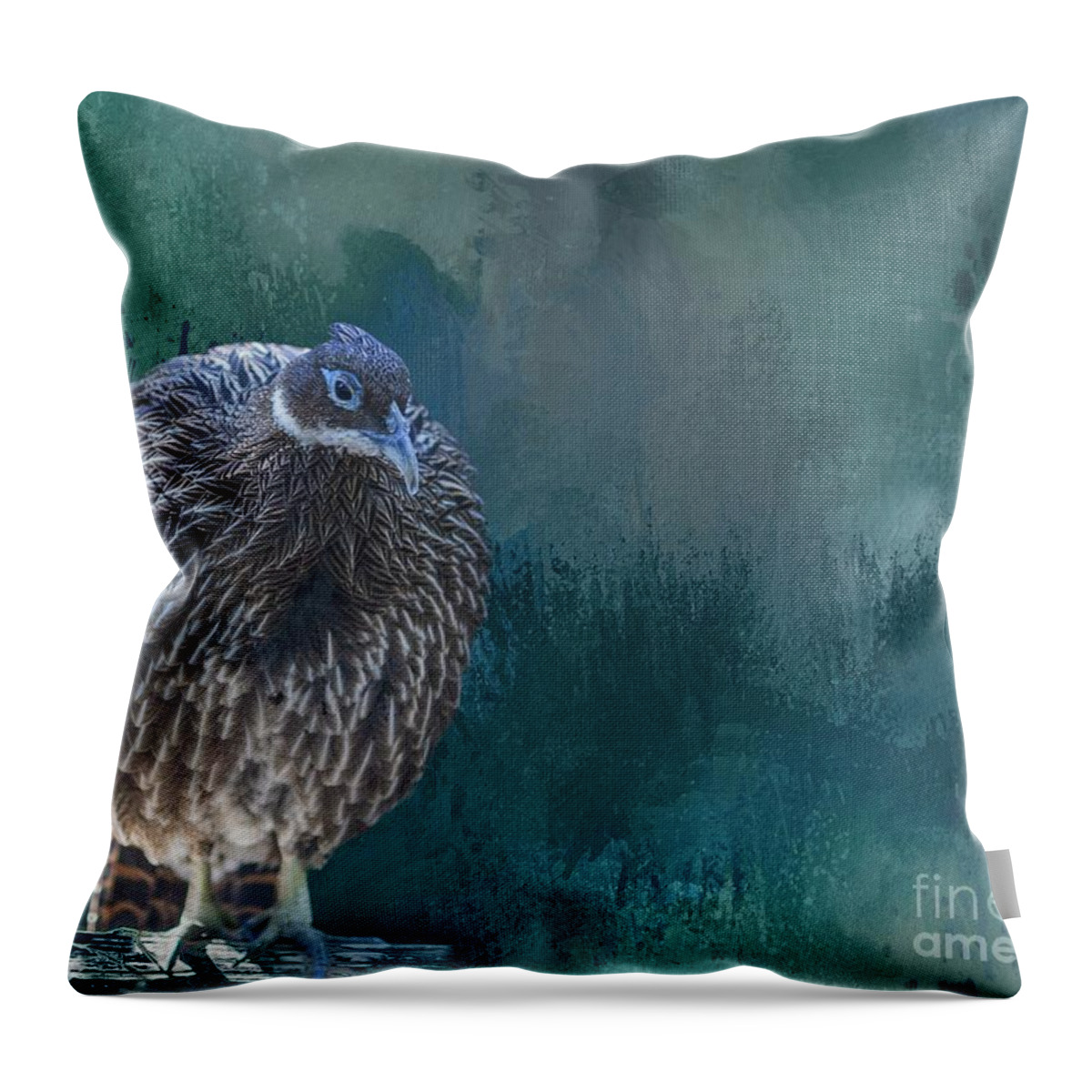Pheasant Throw Pillow featuring the photograph Himalayan Monal by Eva Lechner
