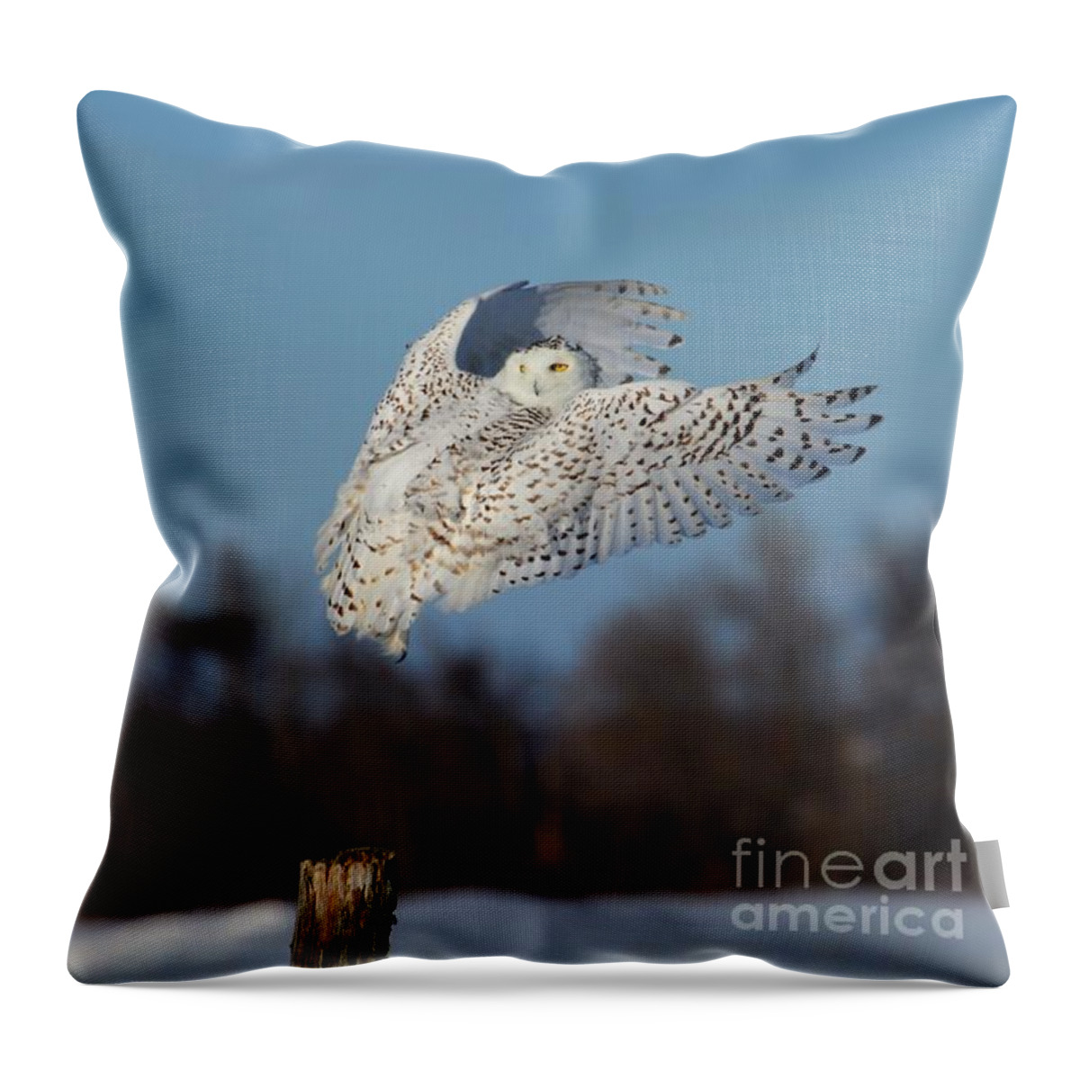 Flight Throw Pillow featuring the photograph Hindsight by Heather King