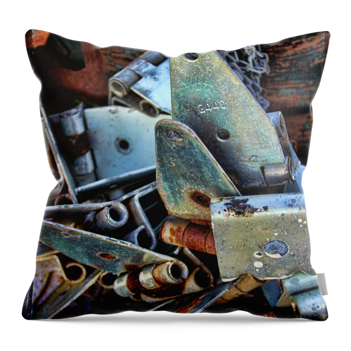 Hinge Throw Pillow featuring the photograph Hinges by Sylvia Thornton