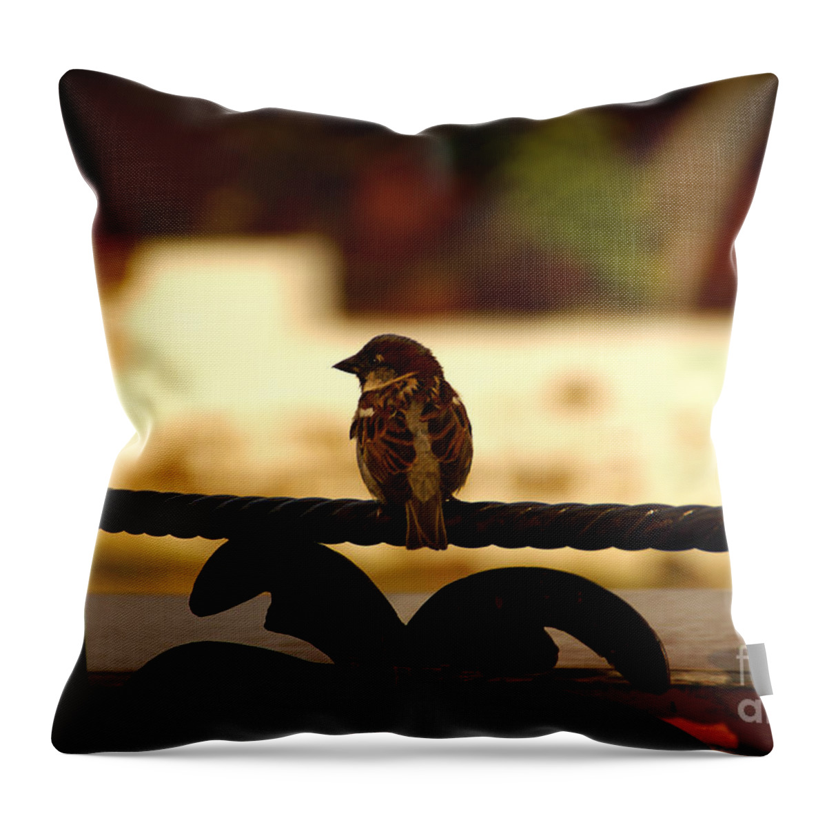 Bird Throw Pillow featuring the photograph His Eye Is On The Sparrow by Linda Shafer