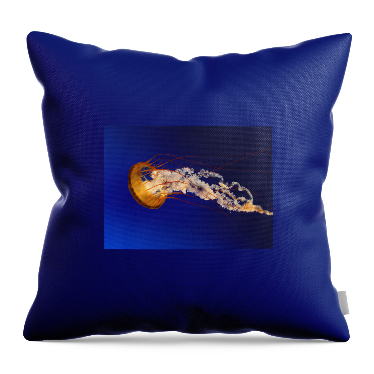 Photograph Throw Pillow featuring the photograph HJK by Raj Singh