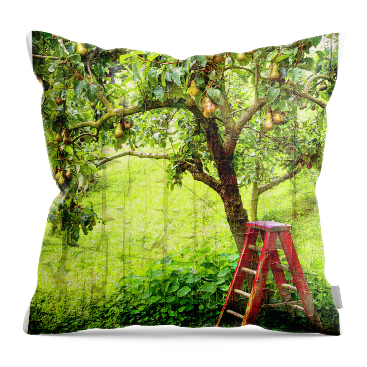 Hobbits Throw Pillow featuring the photograph Hobbit Pear Tree by Kathryn McBride