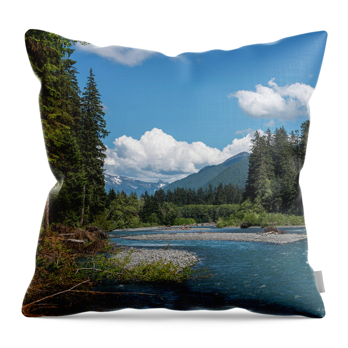 Clouds Throw Pillow featuring the photograph Hoh River by Robert Potts