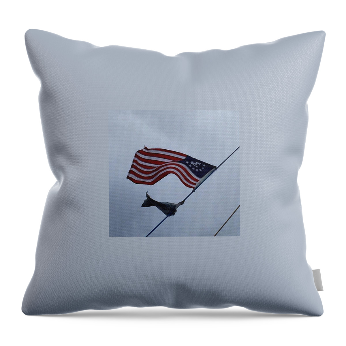 Colors Throw Pillow featuring the photograph #hoisting The #colors! by Darice Machel McGuire