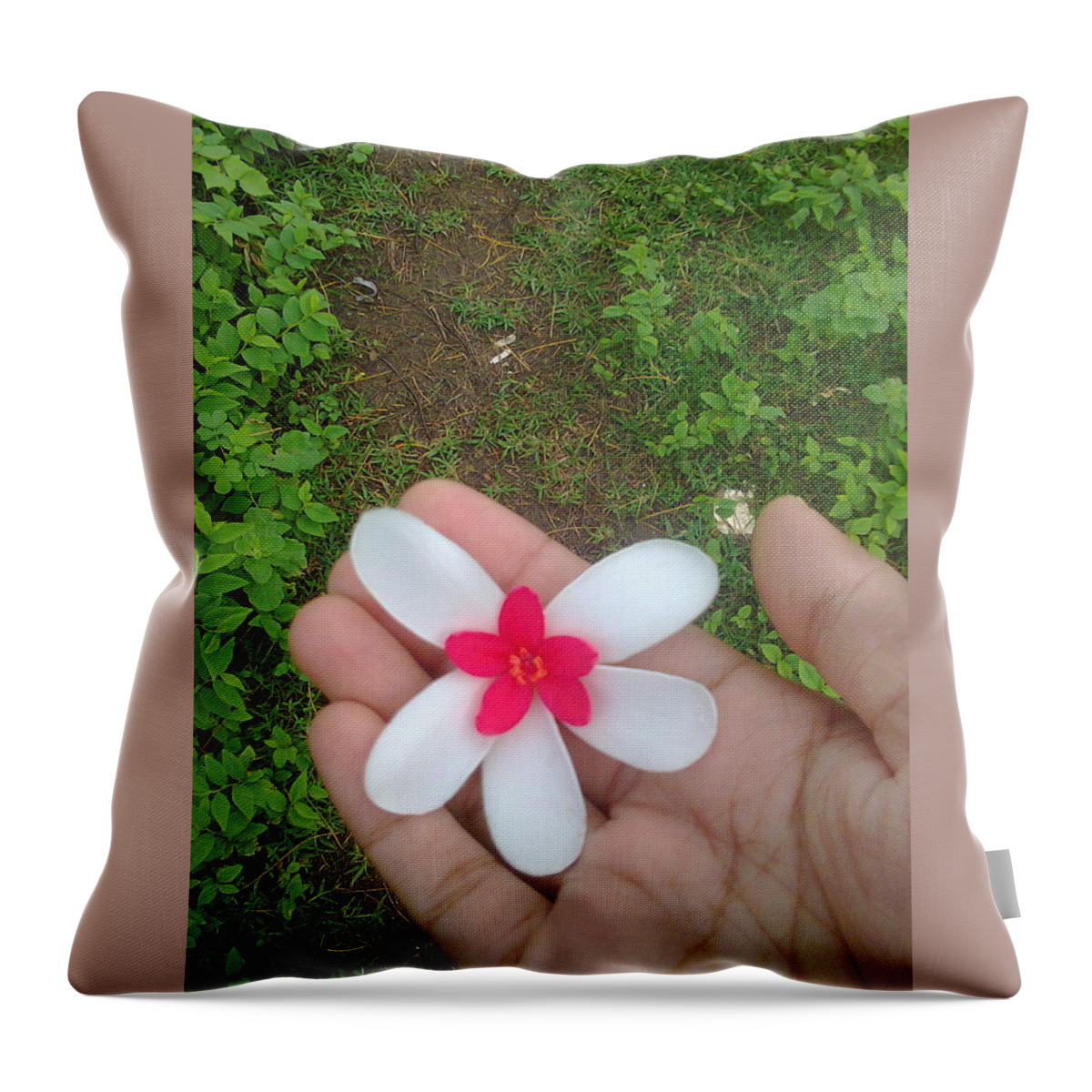Flowers Throw Pillow featuring the photograph Hold Still, Life's Coming by Kirti Bhoir