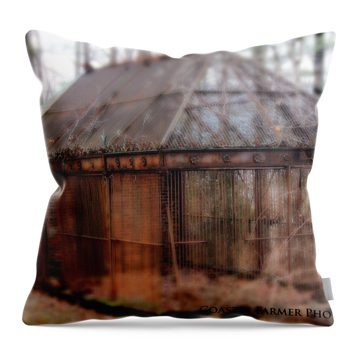 Cage Throw Pillow featuring the photograph Holding Secrets by Becca Wilcox