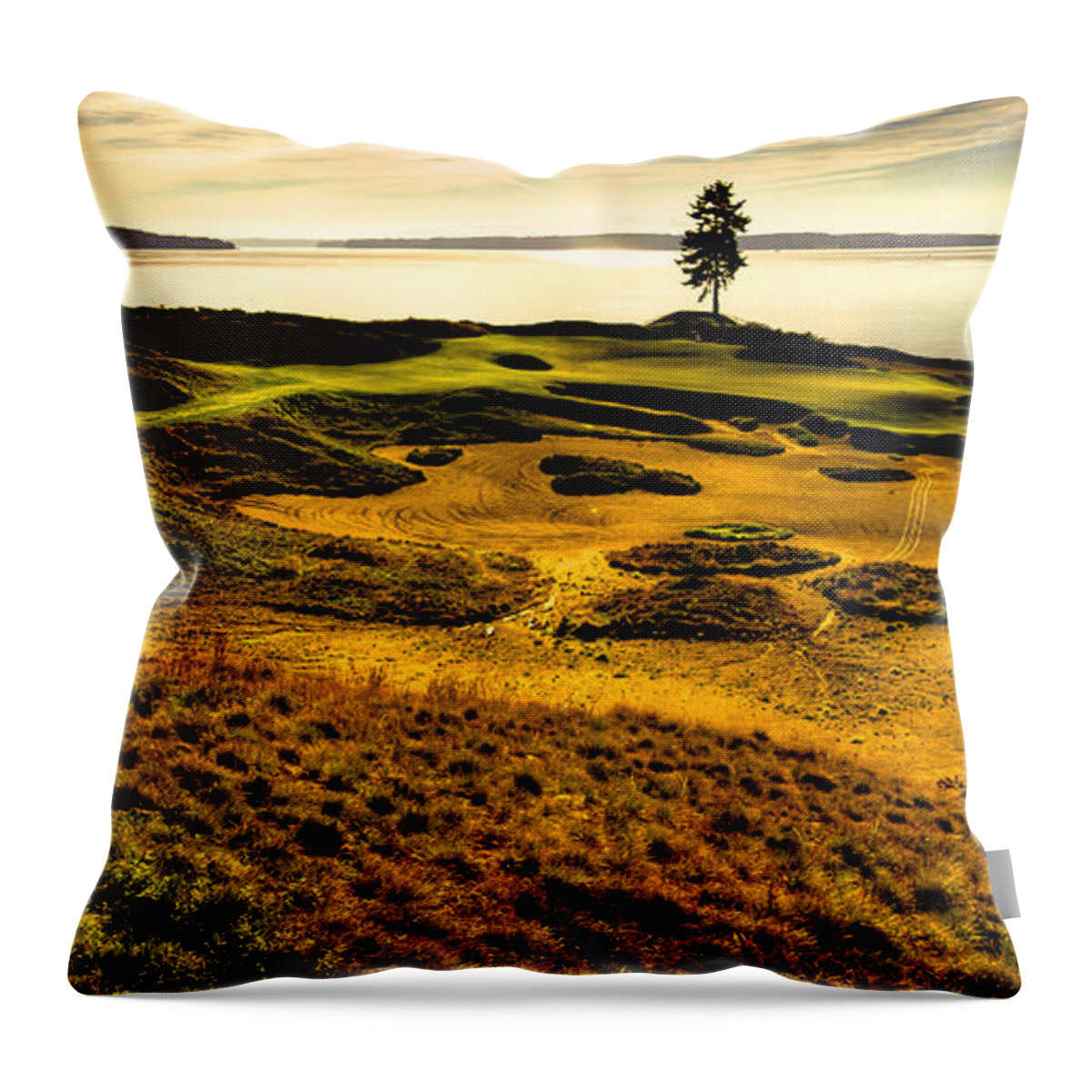 Hole #15 - The Lone Fir At Chambers Bay Throw Pillow featuring the photograph Hole #15 - The Lone Fir at Chambers Bay by David Patterson