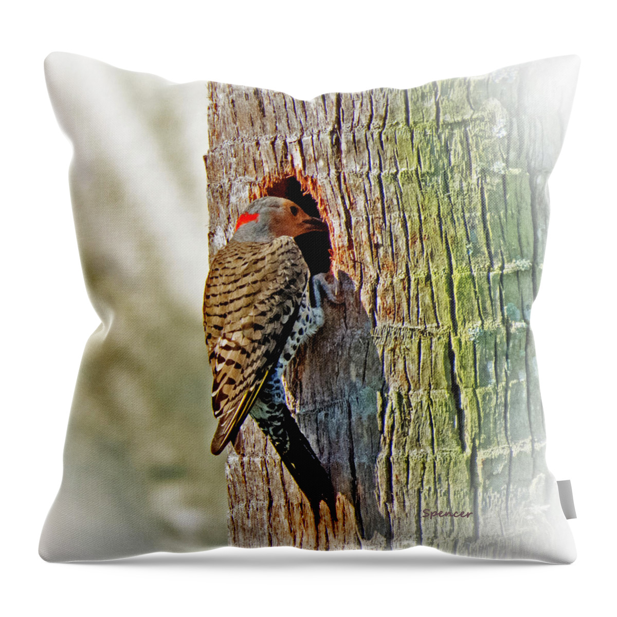 Wildlife Throw Pillow featuring the photograph Hole in One by T Guy Spencer