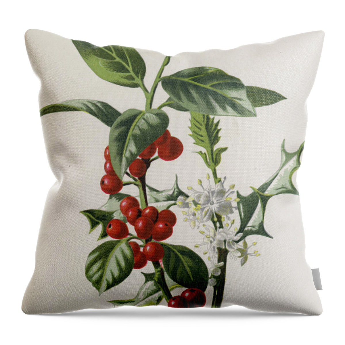 Holly Throw Pillow featuring the painting Holly by Frederick Edward Hulme