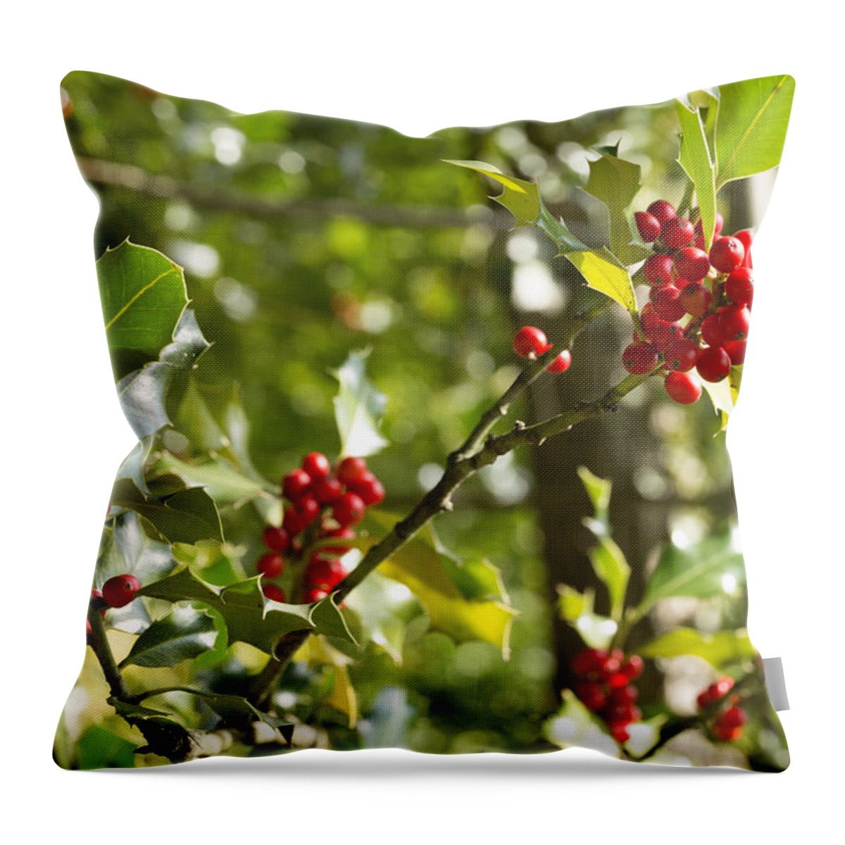 Holly Throw Pillow featuring the photograph Holly With Berries by Chevy Fleet