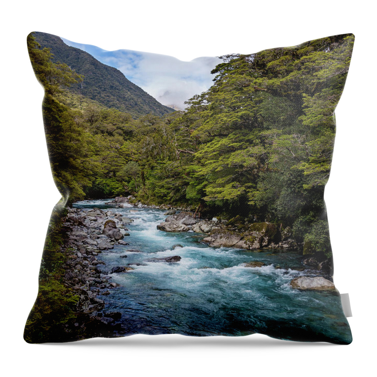 Joan Carroll Throw Pillow featuring the photograph Hollyford River New Zealand by Joan Carroll