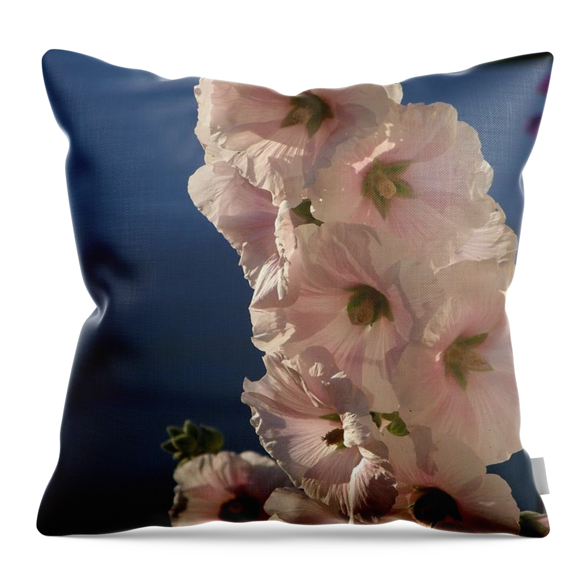 Floral Throw Pillow featuring the photograph Hollyhocks - Photograph by Jackie Mueller-Jones
