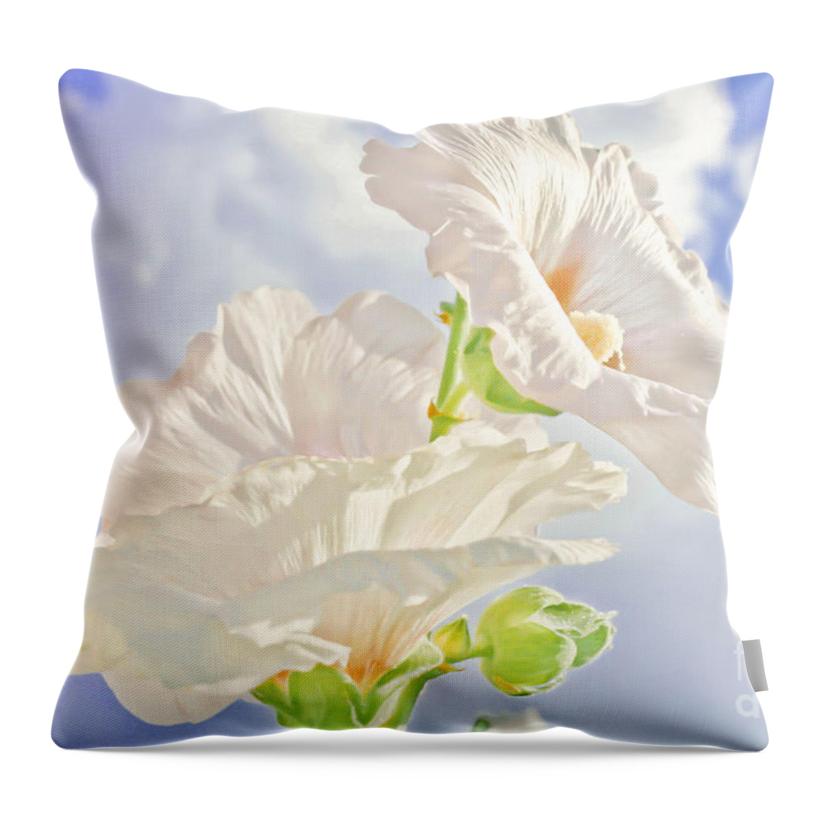 Flowers Throw Pillow featuring the photograph Hollyhocks And Sky by Barbara Dean