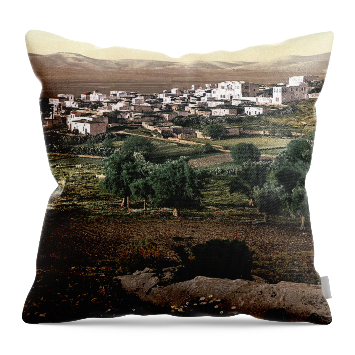 Jenin Throw Pillow featuring the photograph Holy Land - Jenin by Munir Alawi