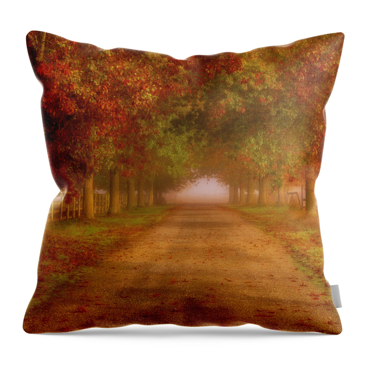 Fall Foliage Throw Pillow featuring the photograph Home Again by Judi Kubes
