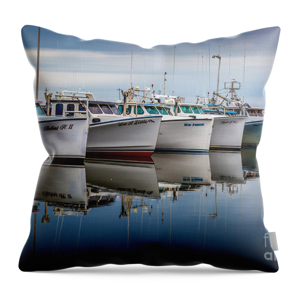Atlantic Throw Pillow featuring the photograph Home for the evening by Roger Monahan