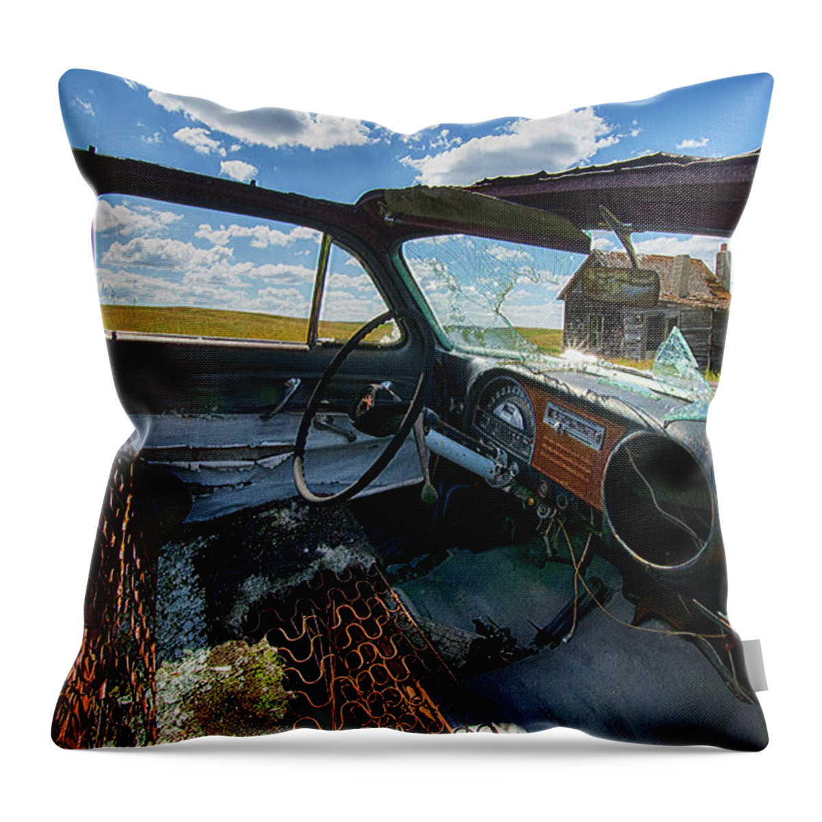 Home Home On The Range Throw Pillow featuring the photograph Home Home On The Range 2 by Bob Christopher