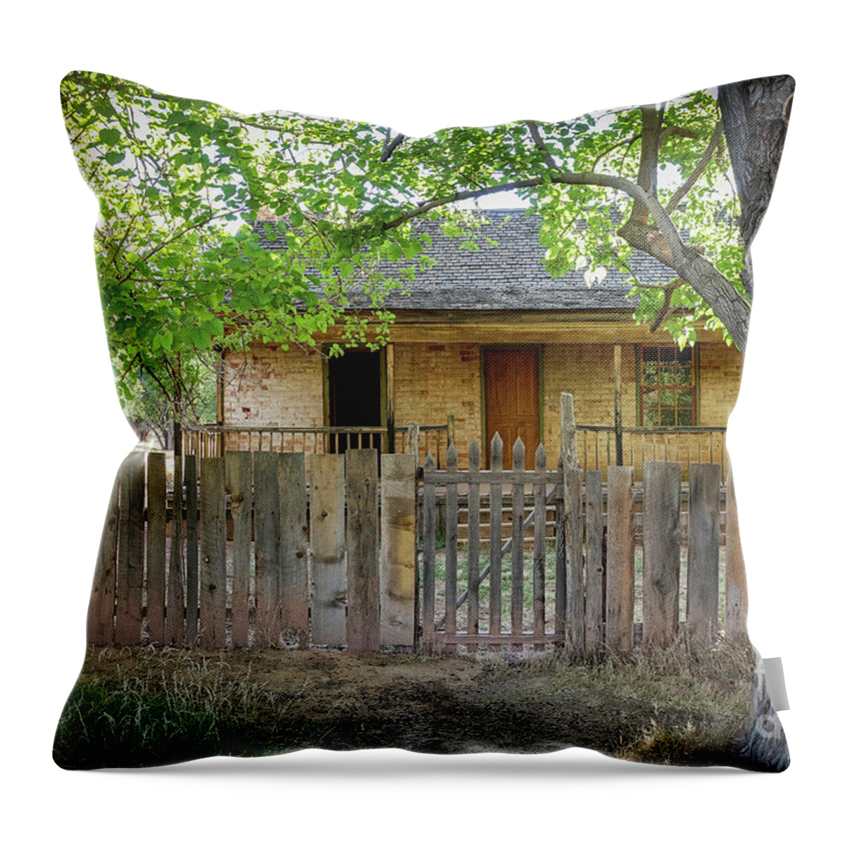 Ghost Town Throw Pillow featuring the photograph Home on the Range by Edward Fielding