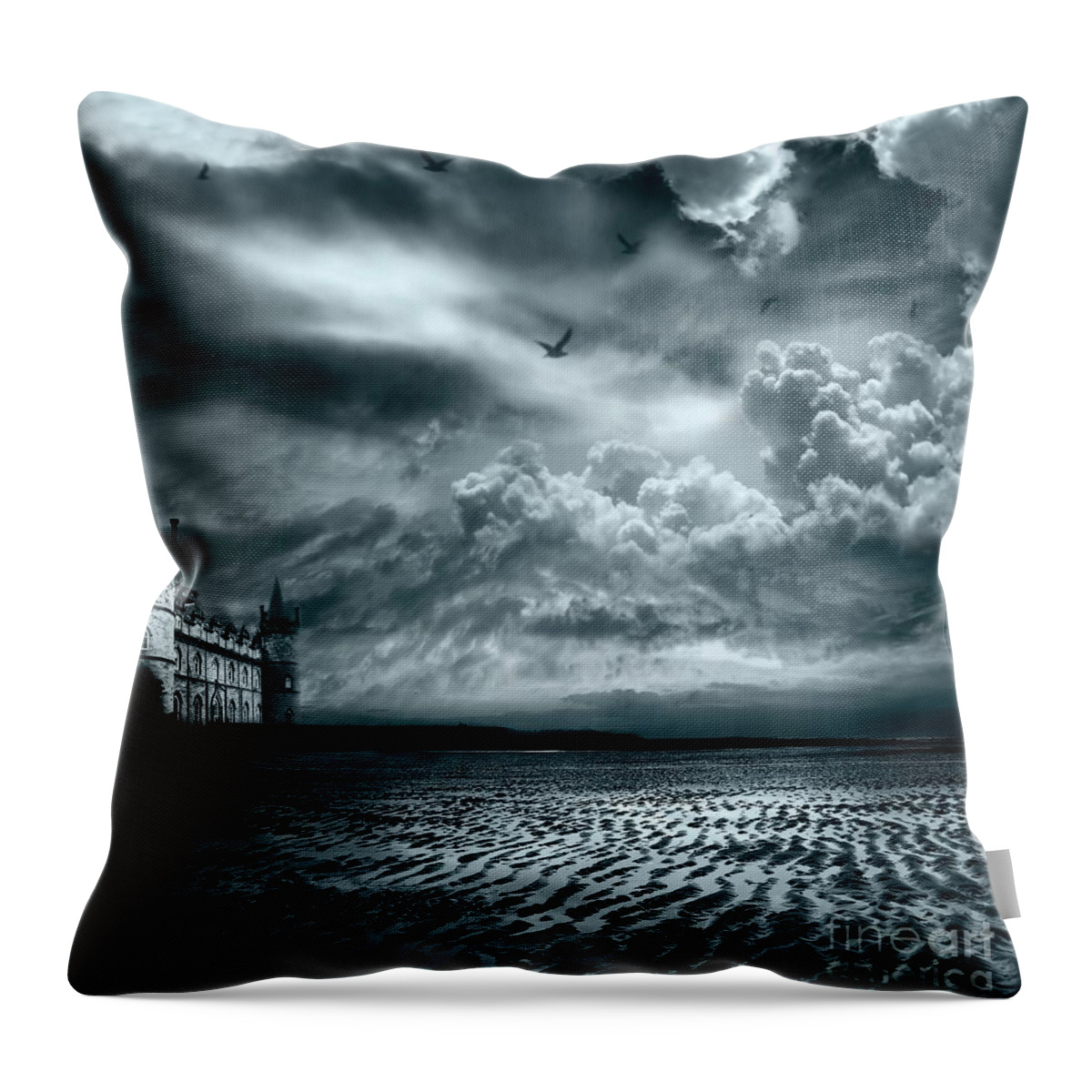 Beach Throw Pillow featuring the photograph Home by Jacky Gerritsen