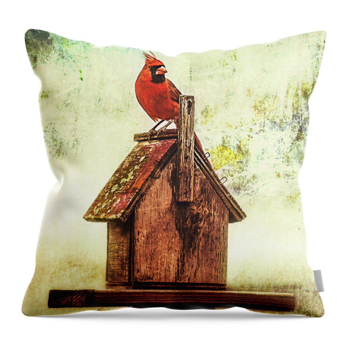 Northern Cardinal Throw Pillow featuring the photograph Home Sweet Home by Cynthia Wolfe