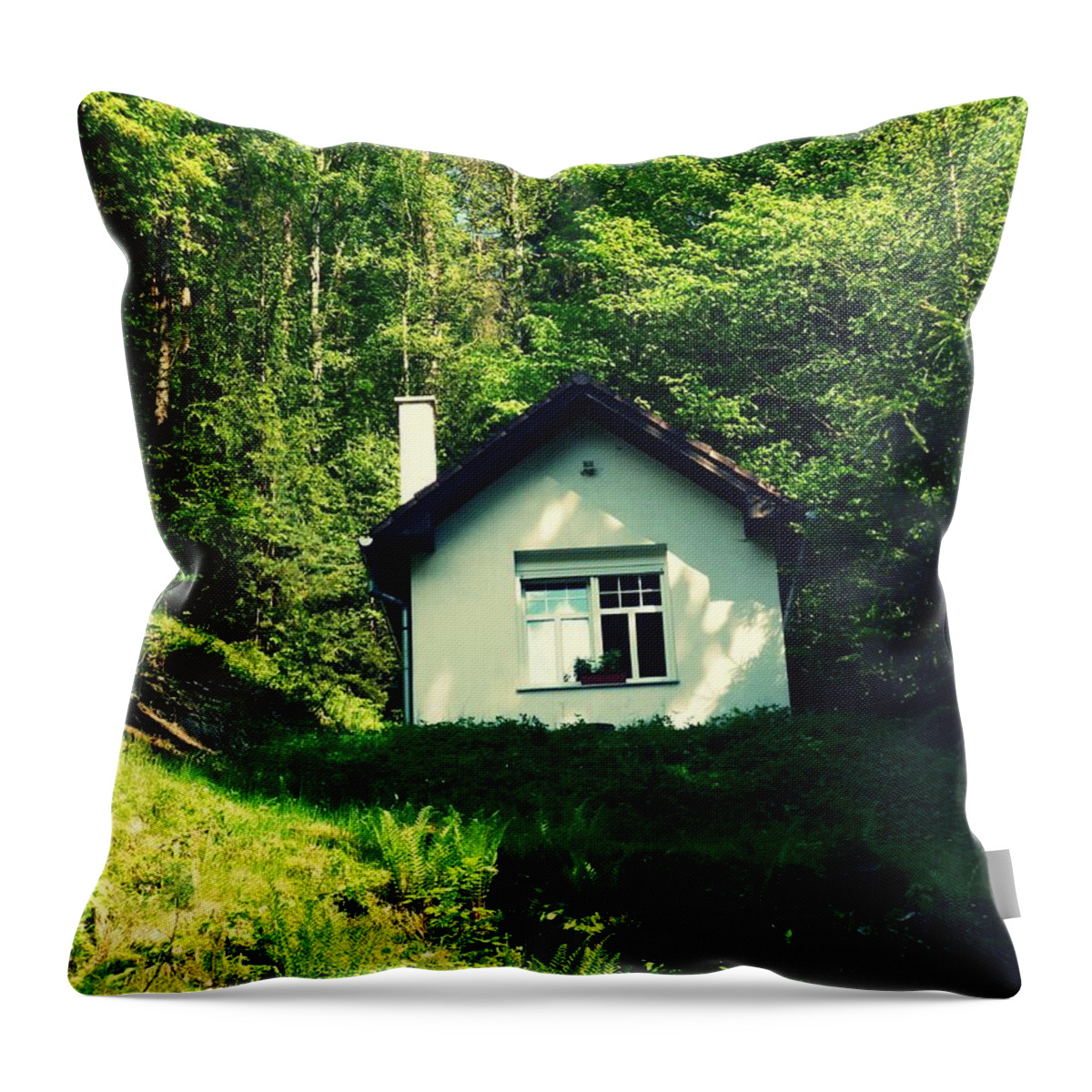 Nature Throw Pillow featuring the photograph Home sweet home by Pasindu Lakruwan