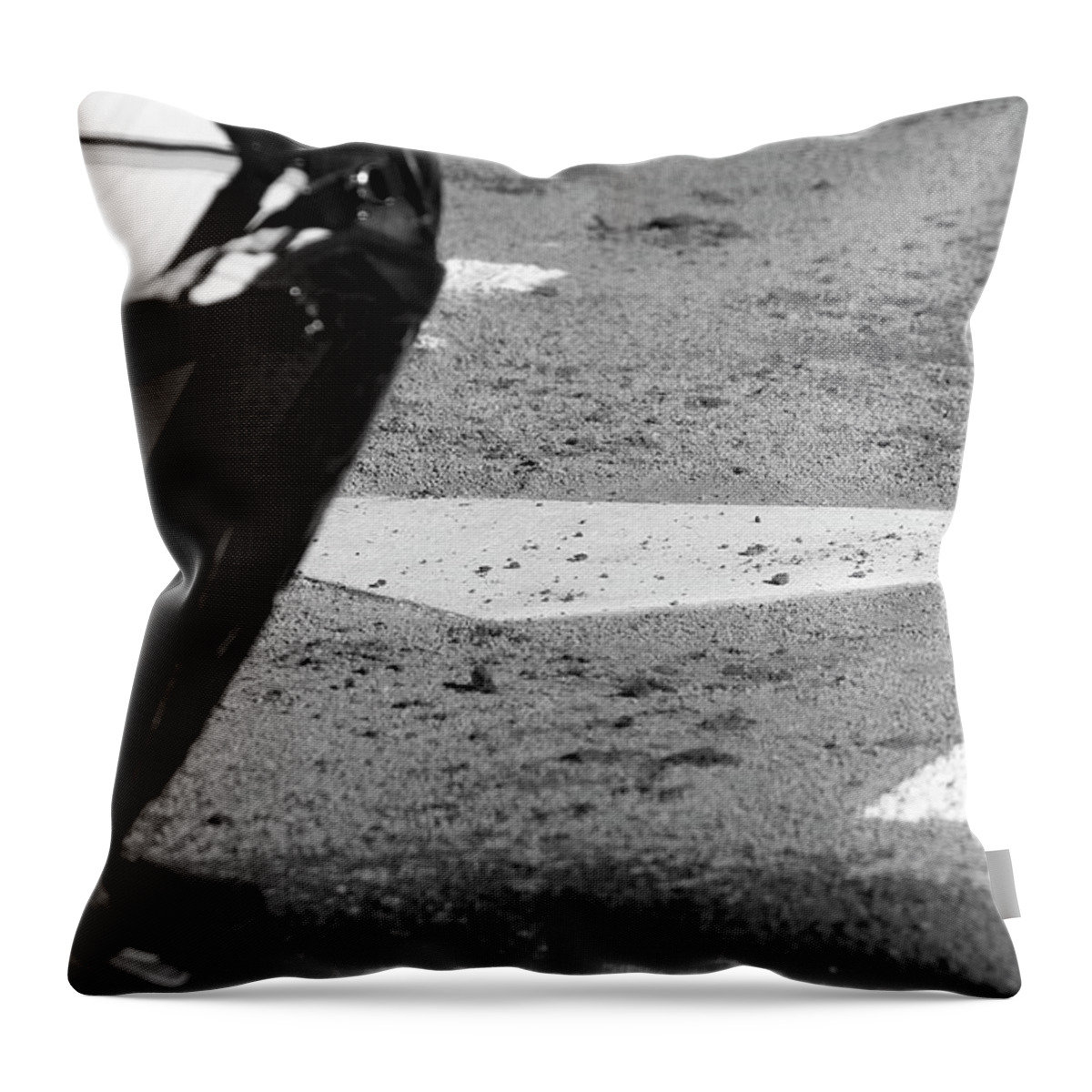 Home Throw Pillow featuring the photograph Homeland Security by Laddie Halupa