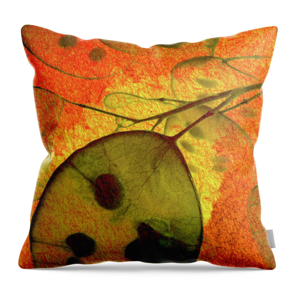 Money Throw Pillow featuring the photograph Honesty VII by Char Szabo-Perricelli