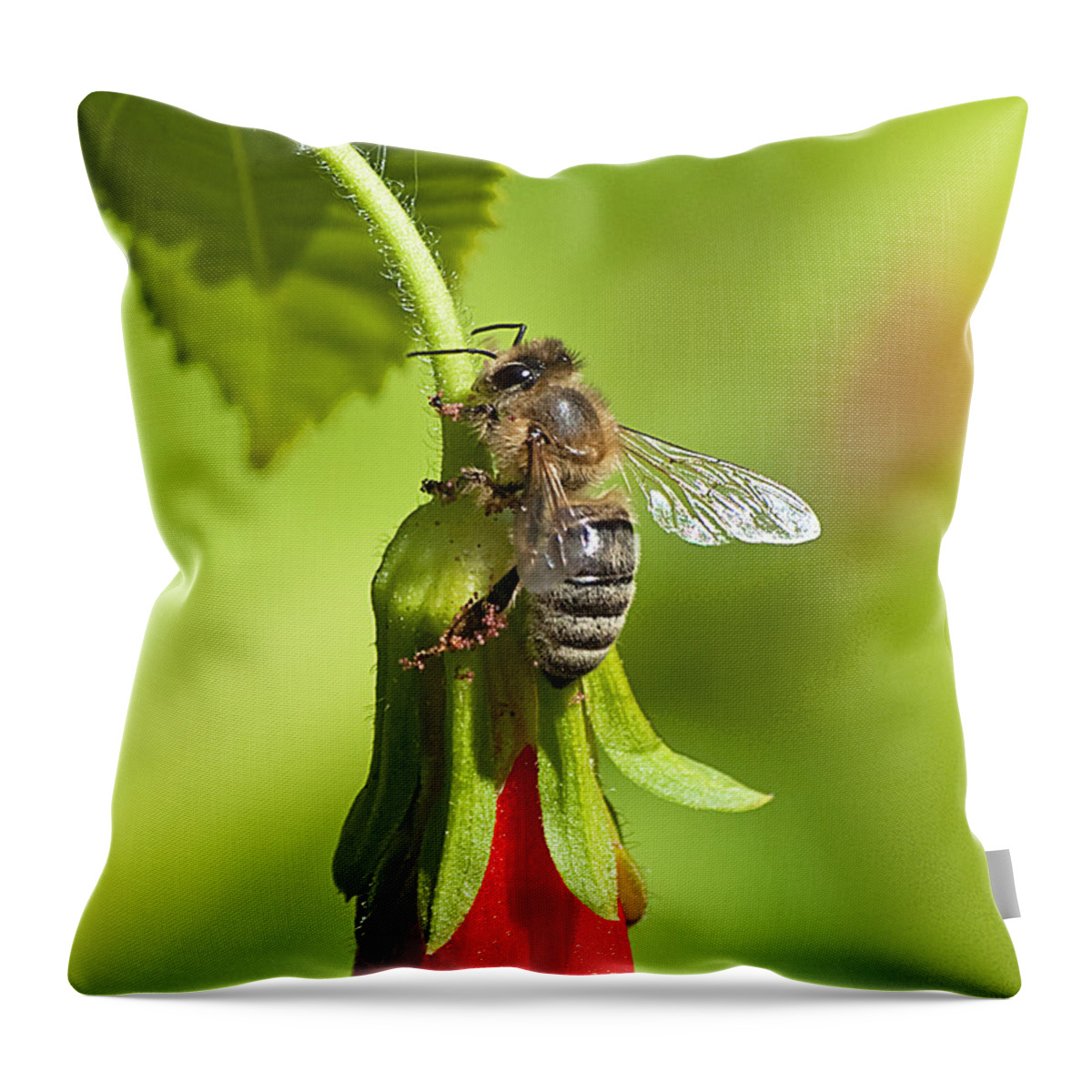 Wildlife Throw Pillow featuring the photograph Honey Bee 11 by Kenneth Albin